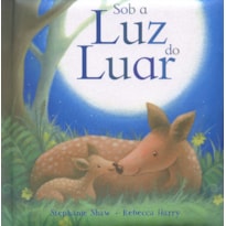 SOB A LUZ DO LUAR