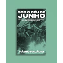 SOB O CÉU DE JUNHO: AS MANIFESTAÇÕES DE 2013 À LUZ DO MATERIALISMO CULTURAL