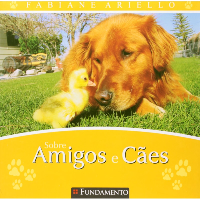 image_6b4dd0cc-80cd-4512-bb21-aa67b0288e62