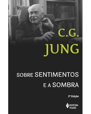 SOBRE SENTIMENTOS E A SOMBRA: SESSÕES DE PERGUNTAS DE WINTERHUR
