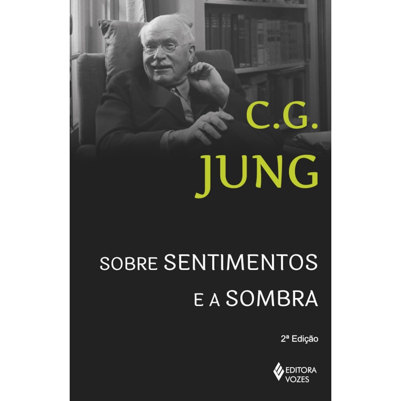 SOBRE SENTIMENTOS E A SOMBRA: SESSÕES DE PERGUNTAS DE WINTERHUR