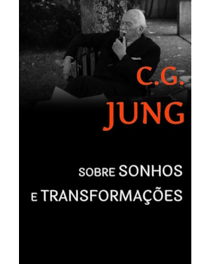 SOBRE SONHOS E TRANSFORMAÇÕES: SESSÕES DE PERGUNTAS DE ZURIQUE