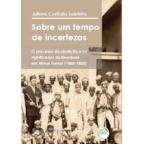 SOBRE UM TEMPO DE INCERTEZAS: O PROCESSO DA ABOLIÇÃO E OS SIGNIFICADOS DA LIBERDADE EM MINAS GERAIS (1880-1888)
