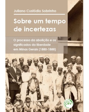 SOBRE UM TEMPO DE INCERTEZAS: O PROCESSO DA ABOLIÇÃO E OS SIGNIFICADOS DA LIBERDADE EM MINAS GERAIS (1880-1888)