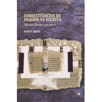 SOBREVIVÊNCIAS DA IMAGEM NA ESCRITA: MICHEL BUTOR E AS ARTES