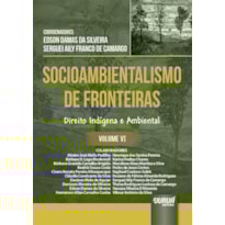 SOCIOAMBIENTALISMO DE FRONTEIRAS - VOLUME VI - DIREITO INDÍGENA E AMBIENTAL