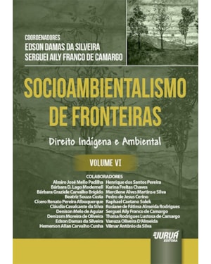 SOCIOAMBIENTALISMO DE FRONTEIRAS - VOLUME VI - DIREITO INDÍGENA E AMBIENTAL