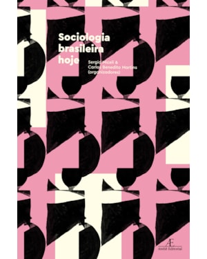SOCIOLOGIA BRASILEIRA HOJE