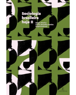 SOCIOLOGIA BRASILEIRA HOJE II