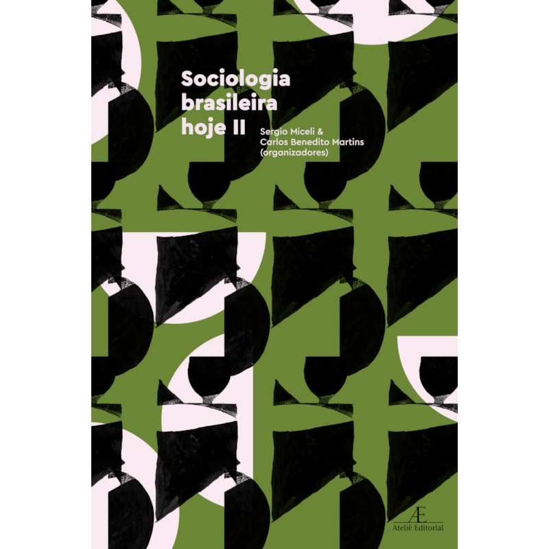 SOCIOLOGIA BRASILEIRA HOJE II