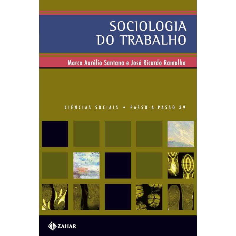 SOCIOLOGIA DO TRABALHO: NO MUNDO CONTEMPORÂNEO