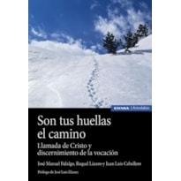 SON TUS HUELLAS EL CAMINO