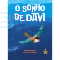 SONHO DE DAVI, O