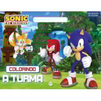 SONIC - COLORINDO A TURMA