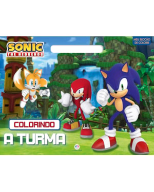 SONIC - COLORINDO A TURMA