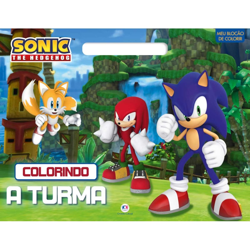 SONIC - COLORINDO A TURMA