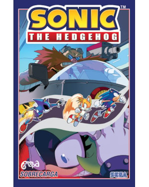 SONIC THE HEDGEHOG - VOL. 14: SOBRECARGA