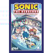 SONIC THE HEDGEHOG - VOLUME 3: A BATALHA POR ANGEL ISLAND: ( ACOMPANHA PÔSTER E MARCADOR)