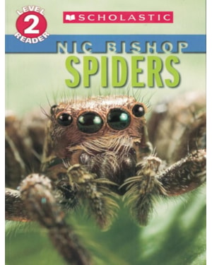 SPIDERS - LEVEL 2