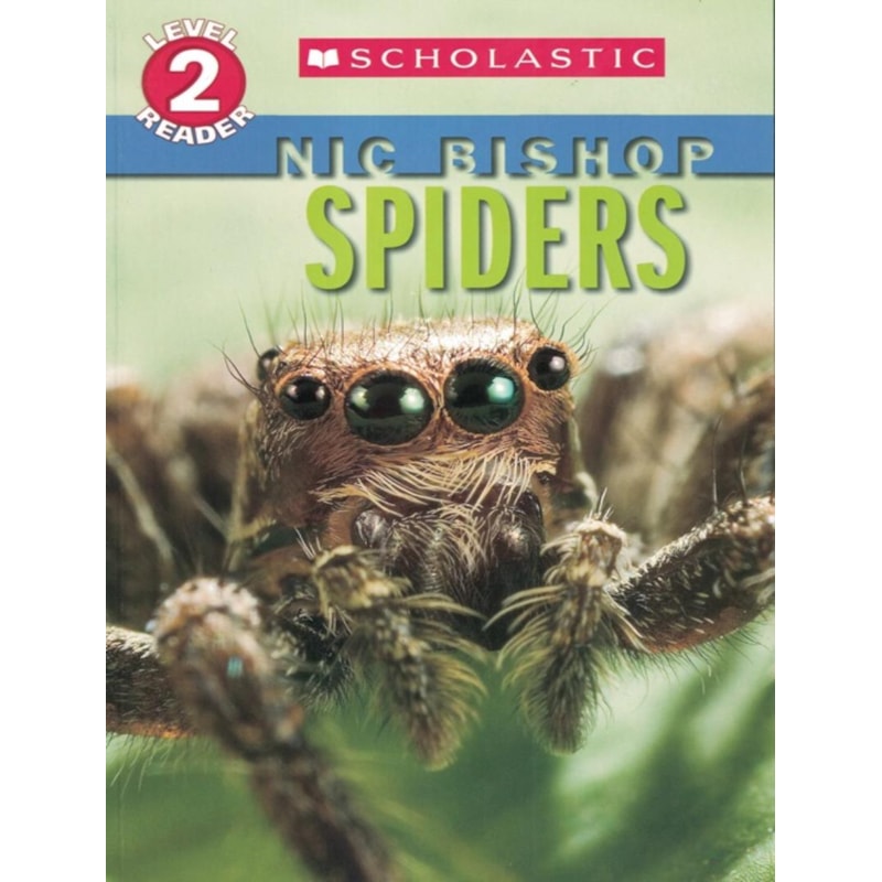 SPIDERS - LEVEL 2