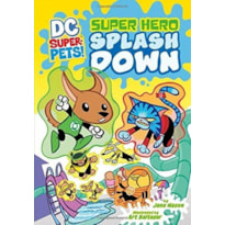 SPLASH DOWN - DC SUPER HEROES