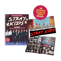 STRAY KIDS: A DOMINAÇÃO: DE HELLEVATOR A TODO LUGAR AO REDOR DO MUNDO