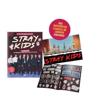 STRAY KIDS: A DOMINAÇÃO: DE HELLEVATOR A TODO LUGAR AO REDOR DO MUNDO