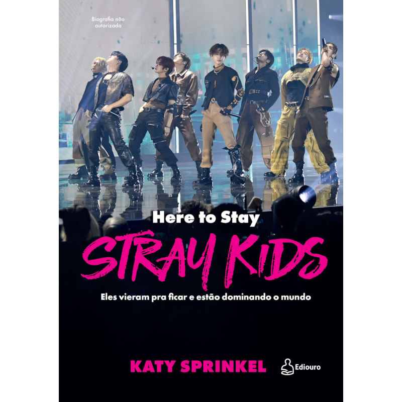Stray Kids: Here To Stay: Eles vieram pra ficar e estão dominando o mundo