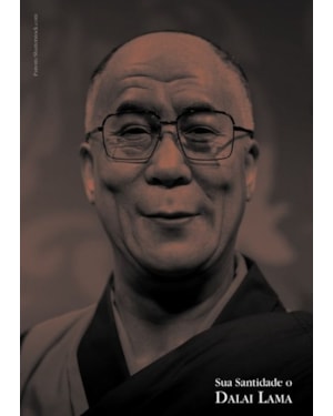Sua santidade o dalai lama (box)