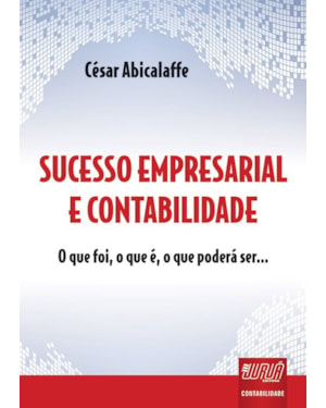 SUCESSO EMPRESARIAL & CONTABILIDADE - O QUE FOI, O QUE É, O QUE PODERÁ SER...
