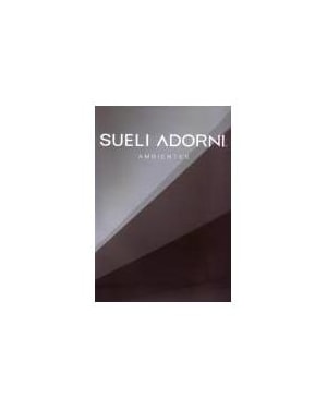 SUELI ADORNI: AMBIENTES
