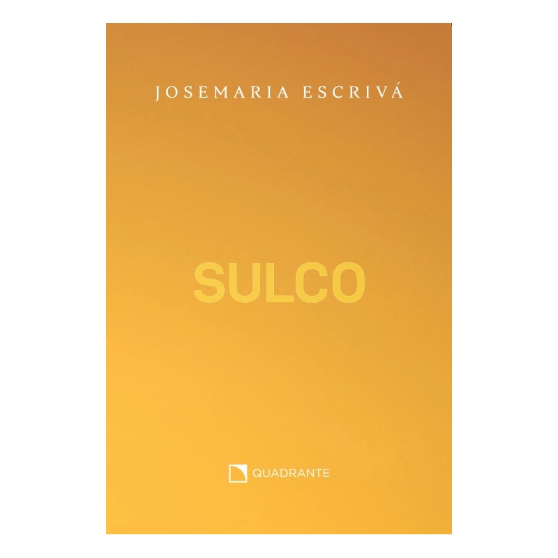SULCO - MEDIUM