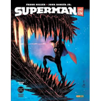 Superman: ano um: volume 2