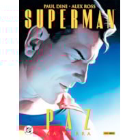 Superman: paz na terra