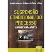 SUSPENSÃO CONDICIONAL DO PROCESSO - ANÁLISE GARANTISTA
