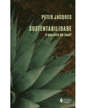 SUSTENTABILIDADE: O QUE ESTÁ EM JOGO?