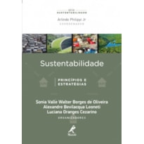 Sustentabilidade: princípios e estratégias