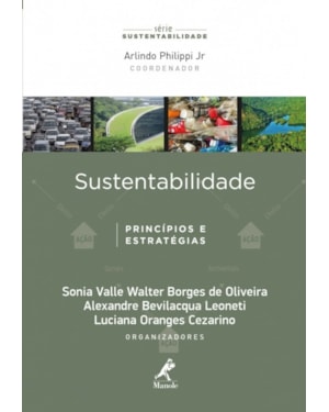 Sustentabilidade: princípios e estratégias