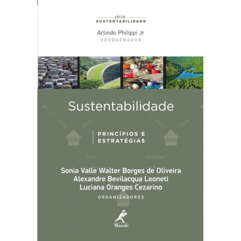 SUSTENTABILIDADE: PRINCÍPIOS E ESTRATÉGIAS