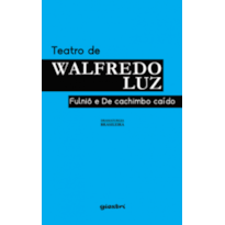 Teatro de Walfredo Luz