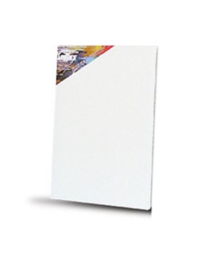 TELA PARA PINTURA ACRILEX 16,5CM X 22CM