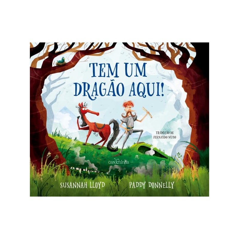 TEM UM DRAGÃO AQUI!