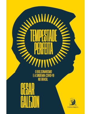 TEMPESTADE PERFEITA: O BOLSONARISMO E A SINDEMIA COVID-19 NO BRASIL