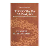 TEOLOGIA DA SALVAÇÃO