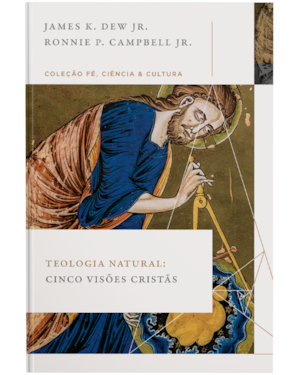 TEOLOGIA NATURAL: CINCO VISÕES CRISTÃS (COLEÇÃO FÉ, CIÊNCIA E CULTURA)
