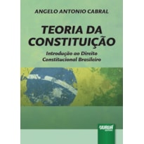 TEORIA DA CONSTITUIÇÃO - INTRODUÇÃO AO DIREITO CONSTITUCIONAL BRASILEIRO