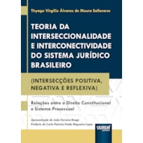 TEORIA DA INTERSECCIONALIDADE E INTERCONECTIVIDADE DO SISTEMA JURÍDICO BRASILEIRO - (INTERSECÇÕES POSITIVA, NEGATIVA E REFLEXIVA)