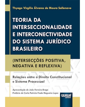 TEORIA DA INTERSECCIONALIDADE E INTERCONECTIVIDADE DO SISTEMA JURÍDICO BRASILEIRO - (INTERSECÇÕES POSITIVA, NEGATIVA E REFLEXIVA)