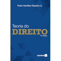 TEORIA DO DIREITO. 5. ED. SÃO PAULO: SARAIVA, 2019.