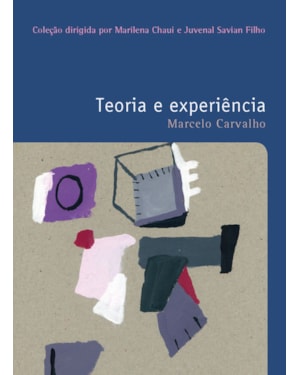 TEORIA E EXPERIÊNCIA